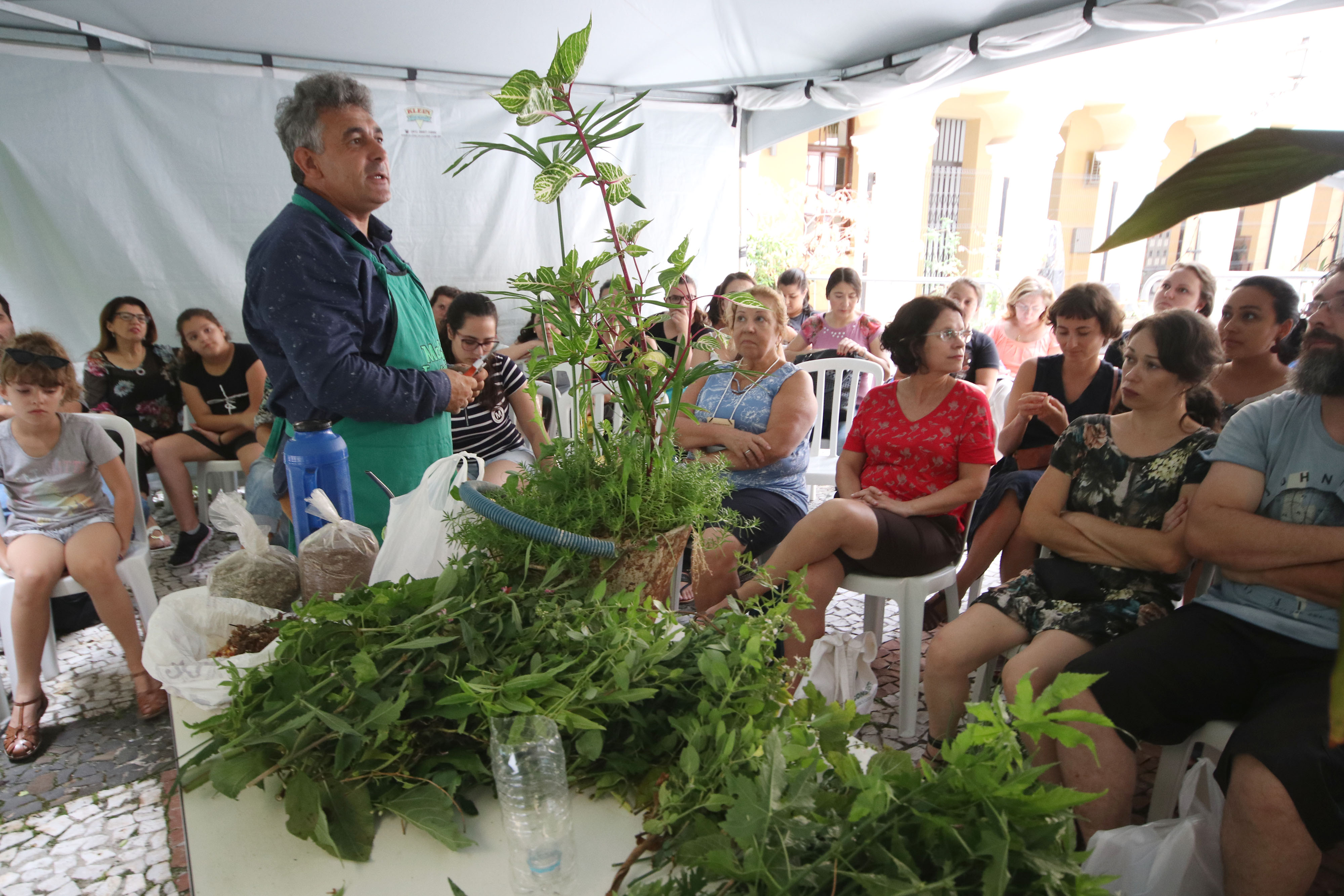 Na primavera, Capela Santa Maria terá oficina de jardinagem gratuito. Foto: Lucilia Guimarães/SMCS